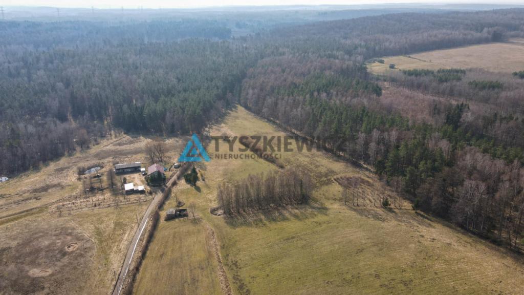 Działki rolne blisko lasu Mierzeszyn - zdjęcie 19