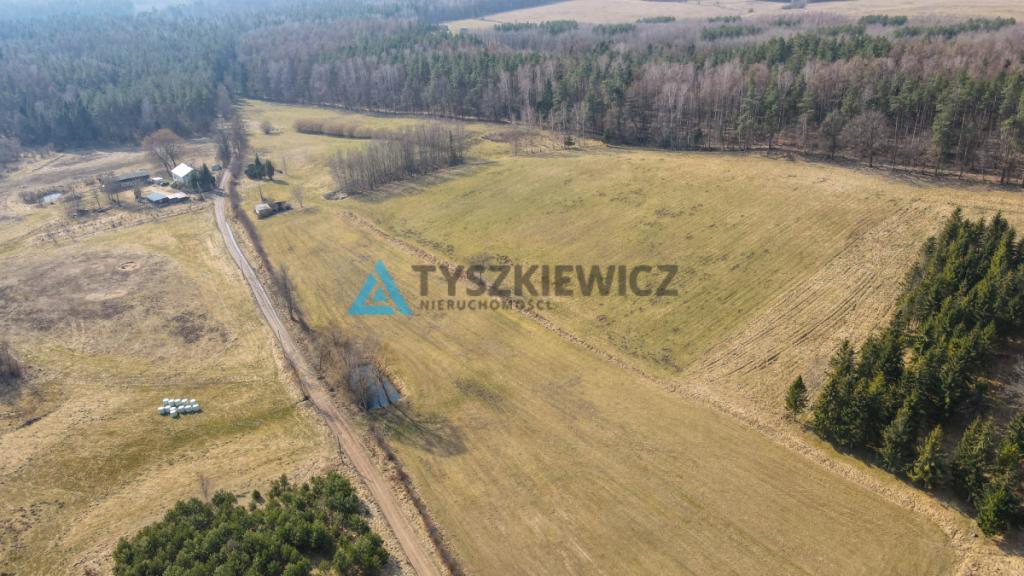 Działki rolne blisko lasu Mierzeszyn - zdjęcie 22