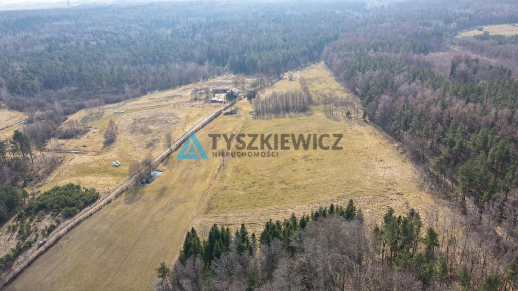 Działki rolne blisko lasu Mierzeszyn - zdjęcie 17