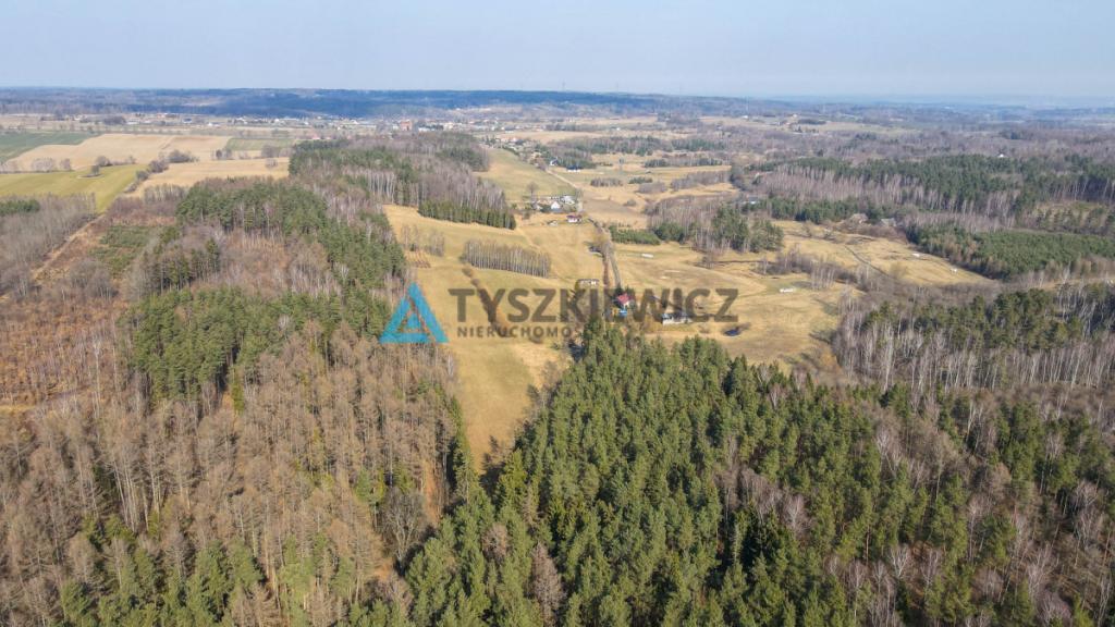 Działki rolne blisko lasu Mierzeszyn - zdjęcie 27