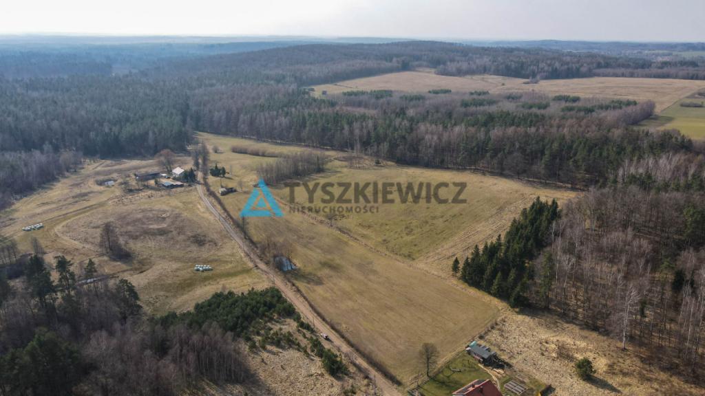 Działki rolne blisko lasu Mierzeszyn - zdjęcie 21