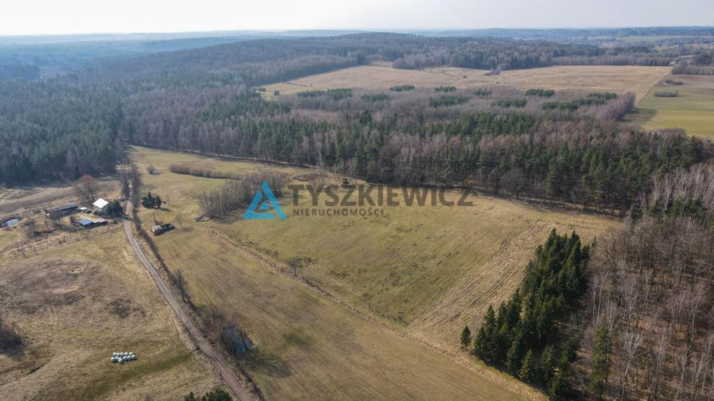 Działki rolne blisko lasu Mierzeszyn - zdjęcie 20