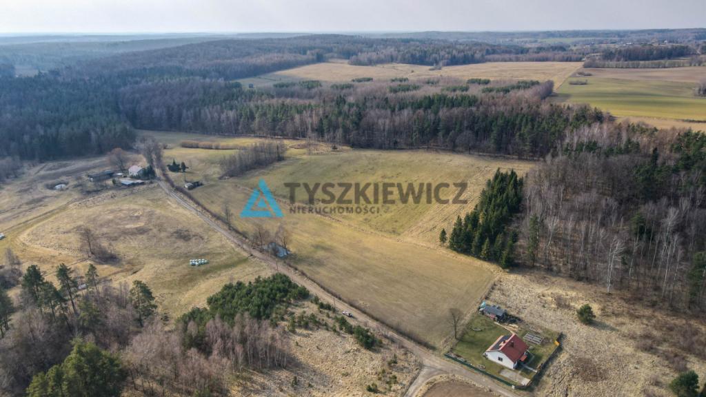 Działki rolne blisko lasu Mierzeszyn - zdjęcie 5