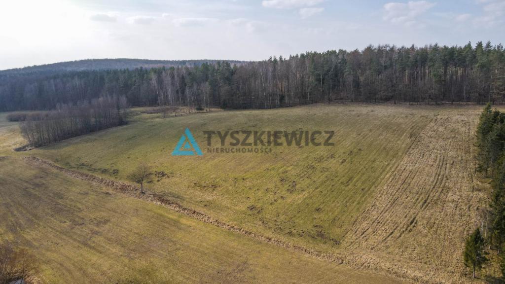 Działki rolne blisko lasu Mierzeszyn - zdjęcie 4