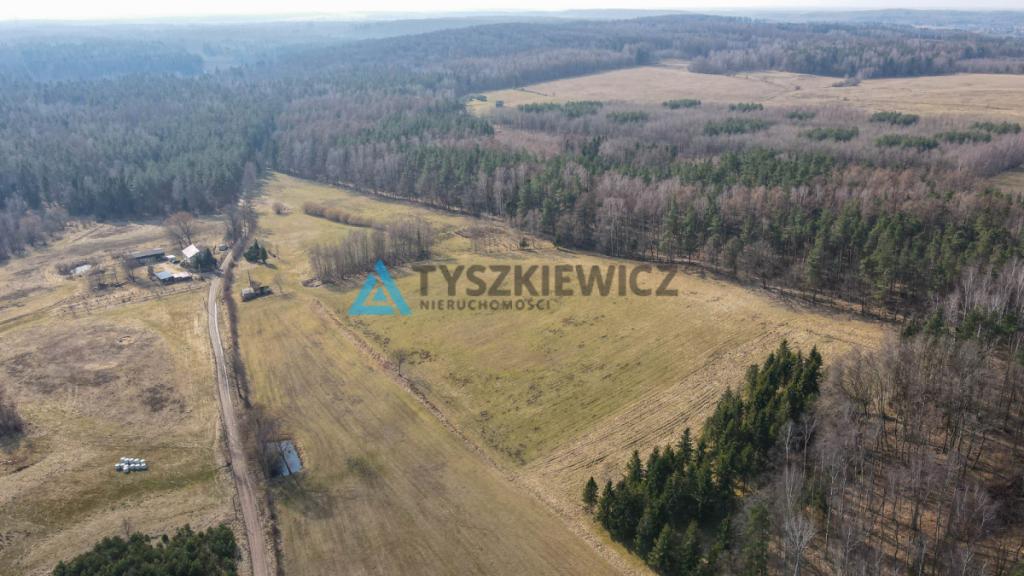Działki rolne blisko lasu Mierzeszyn - zdjęcie 18