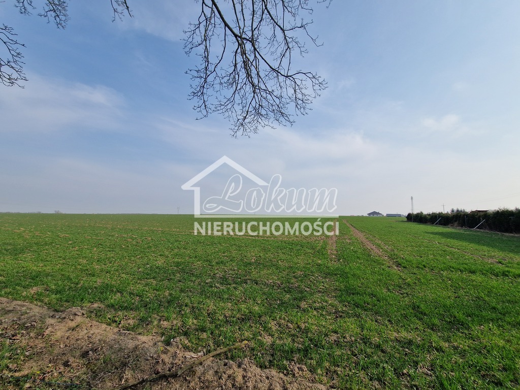 Działka budowlana 1957&nbsp;m², Przemocze - zdjęcie 1