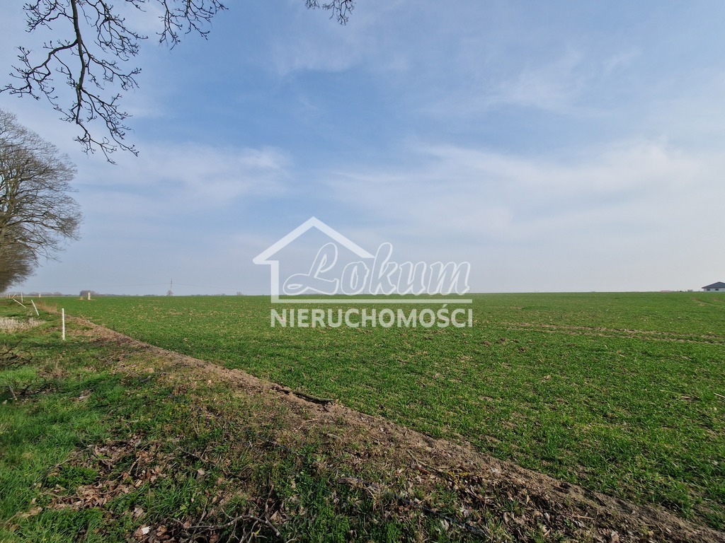 Działka budowlana 1957&nbsp;m², Przemocze - zdjęcie 2