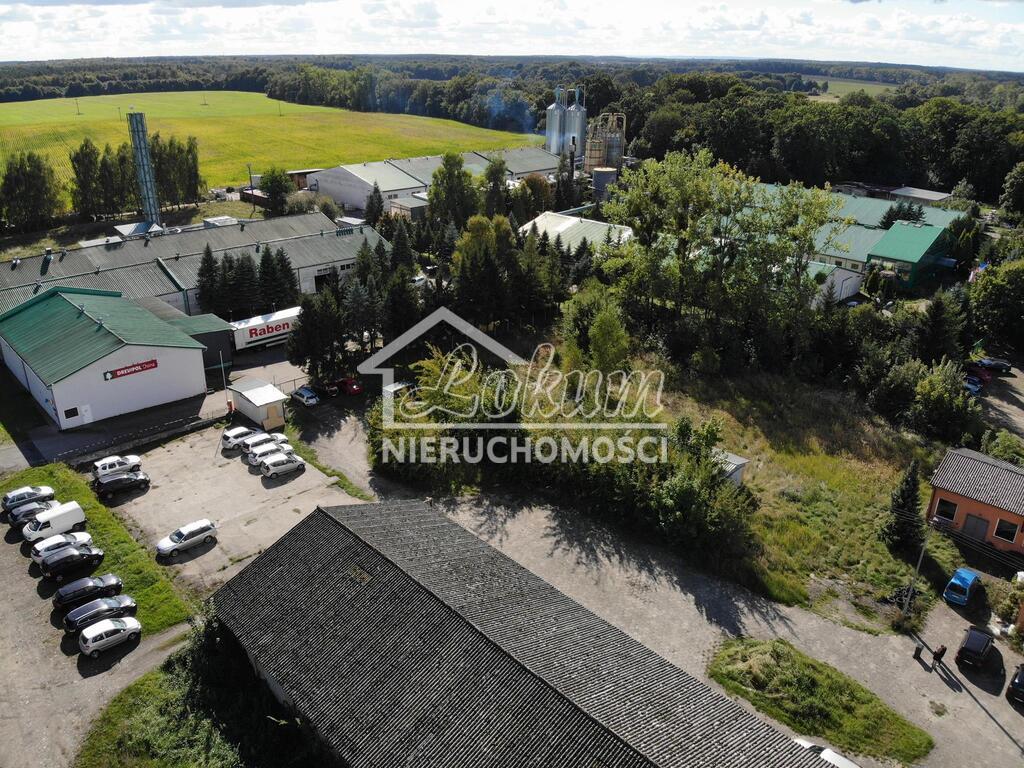 Działka inwestycyjna 2869 m², Osina - zdjęcie 4