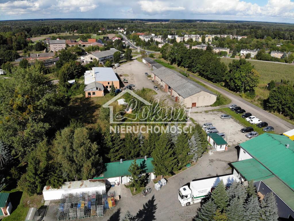 Działka inwestycyjna 2869 m², Osina - zdjęcie 7