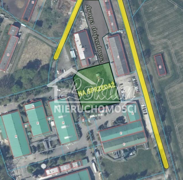 Działka inwestycyjna 2869 m², Osina - zdjęcie 2