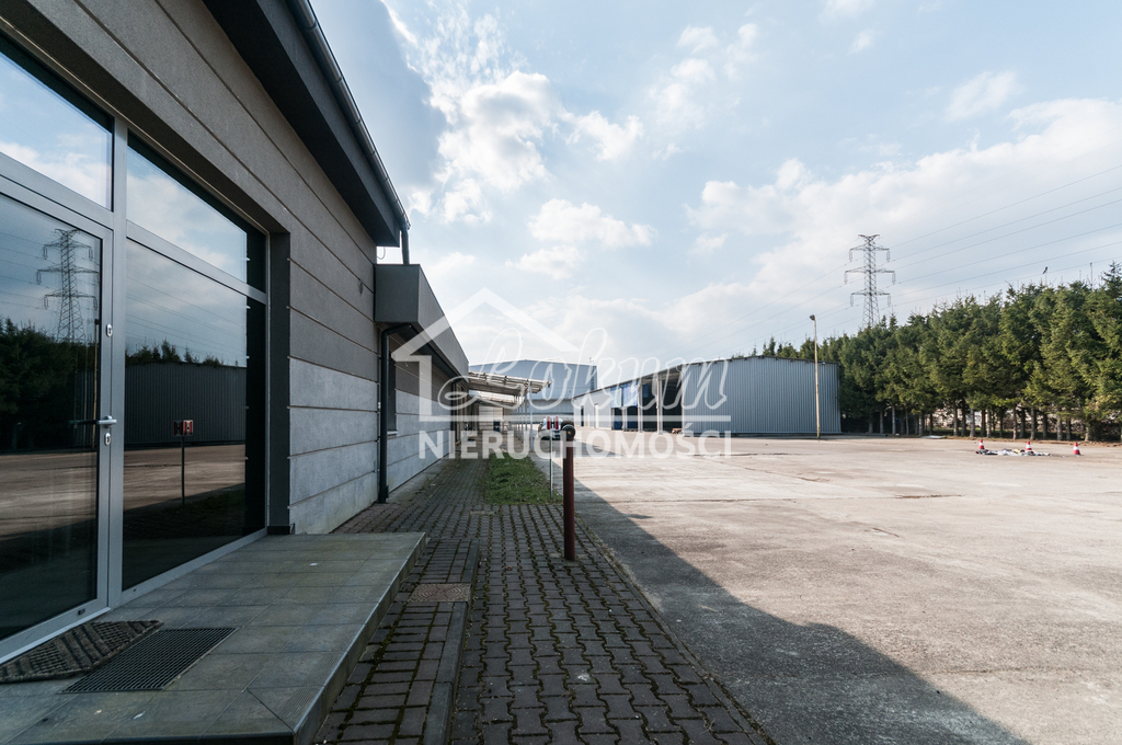 Magazyn do wynajęcia, 1365 m², Stargard - zdjęcie 3