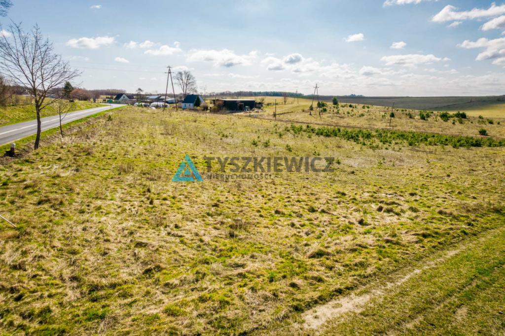 Duża działka z potencjałem w ciekawej lokalizacji - zdjęcie 2