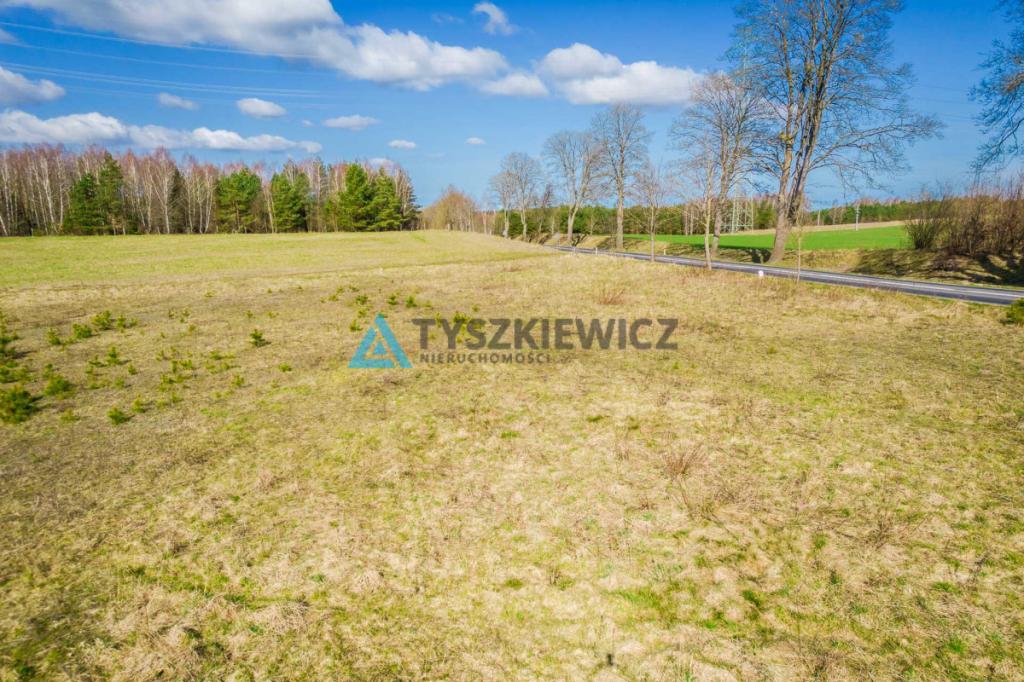 Duża działka z potencjałem w ciekawej lokalizacji - zdjęcie 15