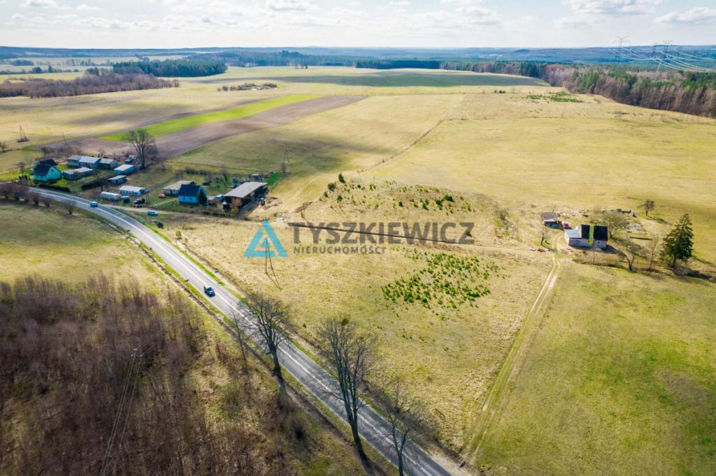 Duża działka z potencjałem w ciekawej lokalizacji - zdjęcie 3