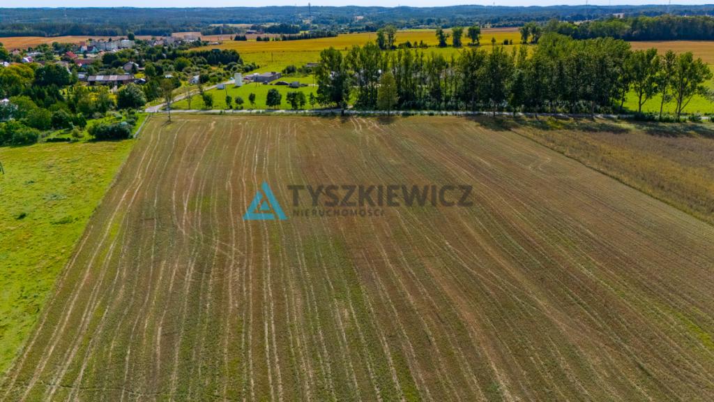 Atrakcyjna działka rolna przy drodze wojewódzkiej. - zdjęcie 24