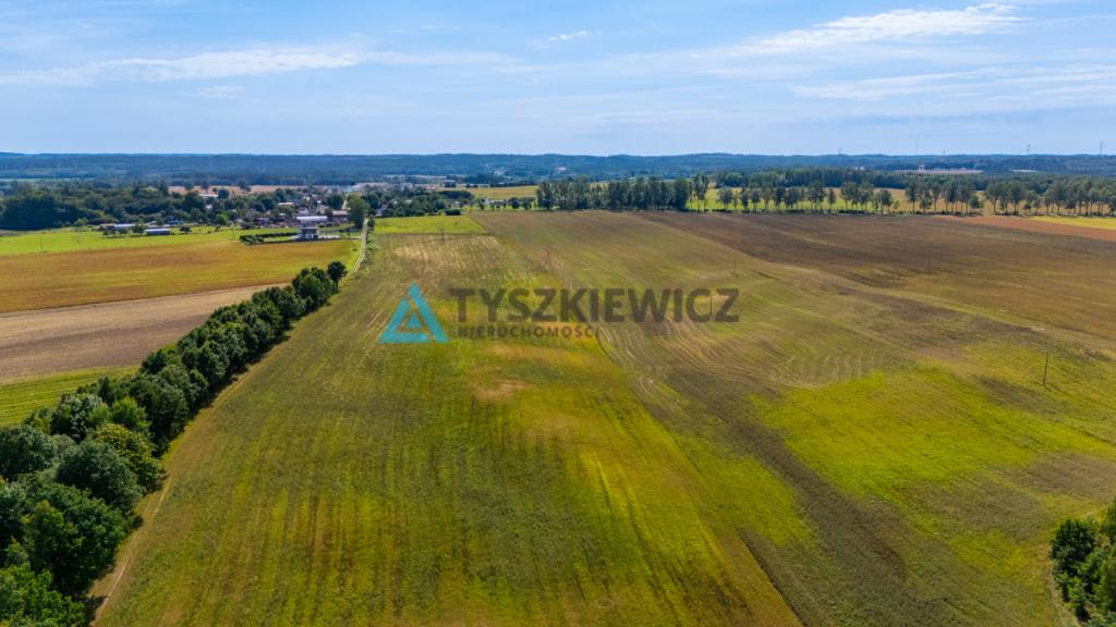 Atrakcyjna działka rolna przy drodze wojewódzkiej. - zdjęcie 19