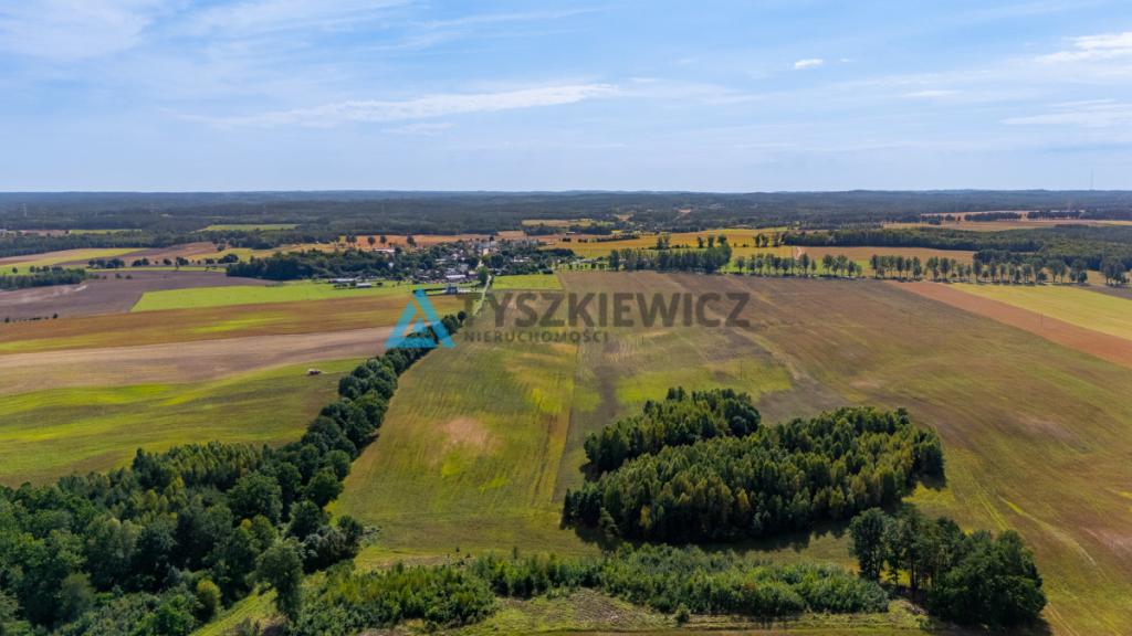 Atrakcyjna działka rolna przy drodze wojewódzkiej. - zdjęcie 10