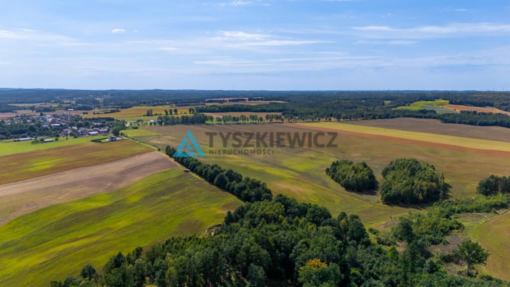Atrakcyjna działka rolna przy drodze wojewódzkiej. - zdjęcie 9