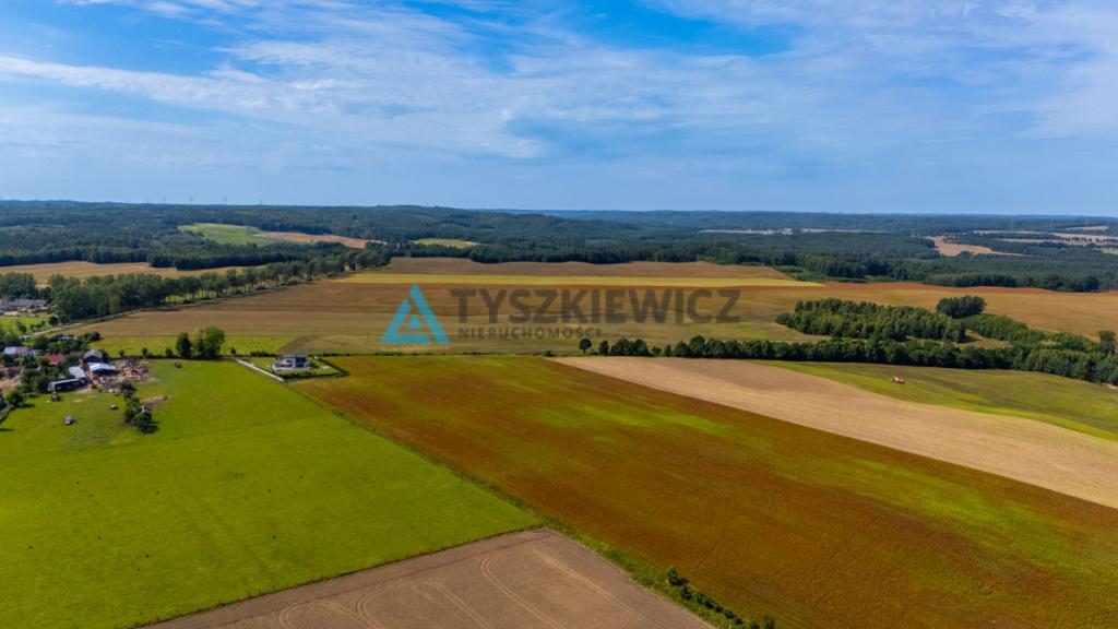 Atrakcyjna działka rolna przy drodze wojewódzkiej. - zdjęcie 7