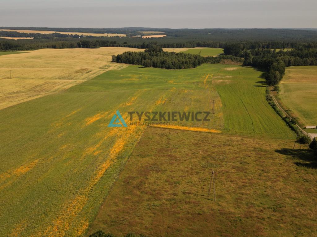 Atrakcyjna działka rolna przy drodze wojewódzkiej. - zdjęcie 2