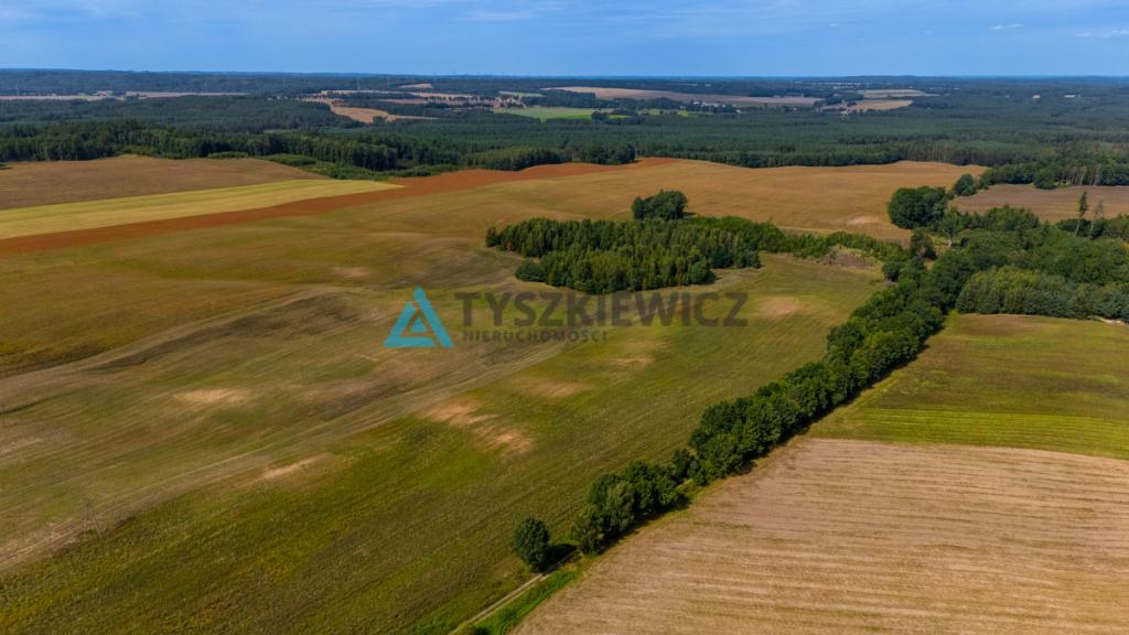 Atrakcyjna działka rolna przy drodze wojewódzkiej. - zdjęcie 4