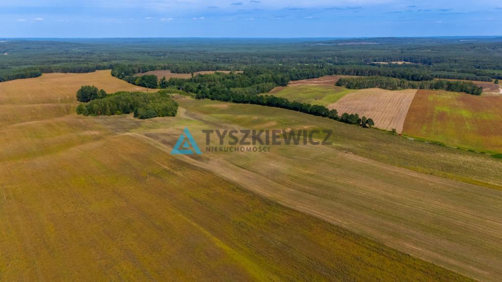Atrakcyjna działka rolna przy drodze wojewódzkiej. - zdjęcie 28