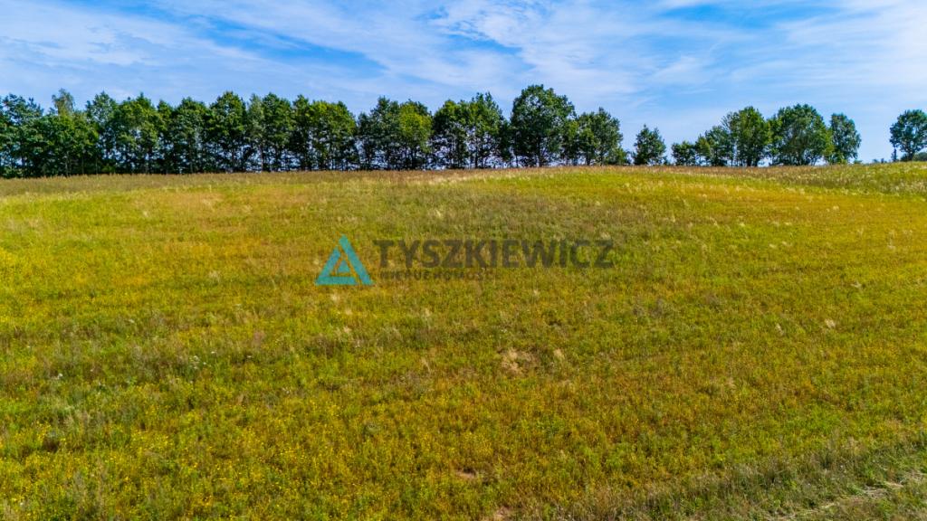 Atrakcyjna działka rolna przy drodze wojewódzkiej. - zdjęcie 22