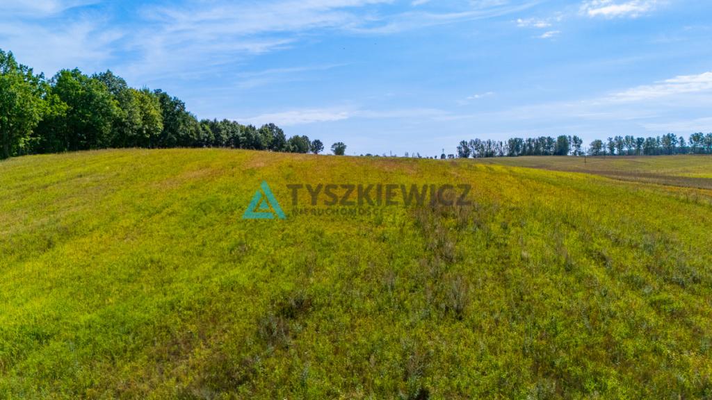 Atrakcyjna działka rolna przy drodze wojewódzkiej. - zdjęcie 20