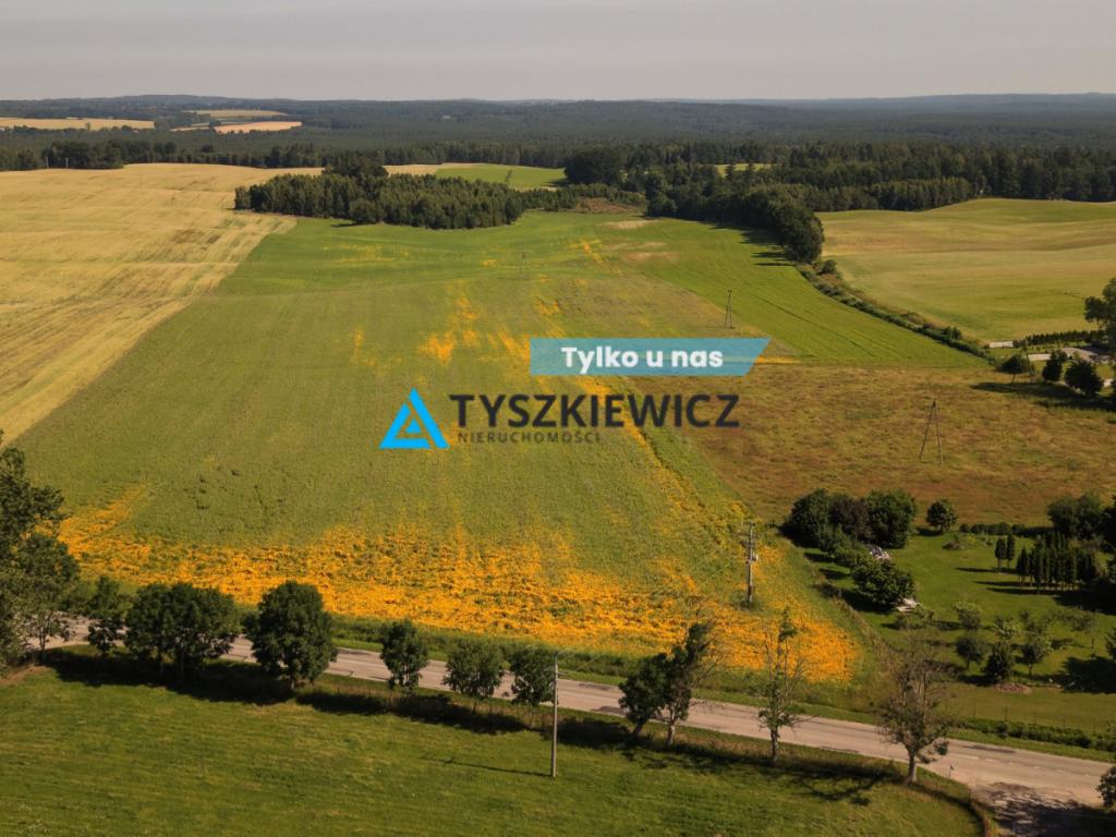 Atrakcyjna działka rolna przy drodze wojewódzkiej. - zdjęcie 1
