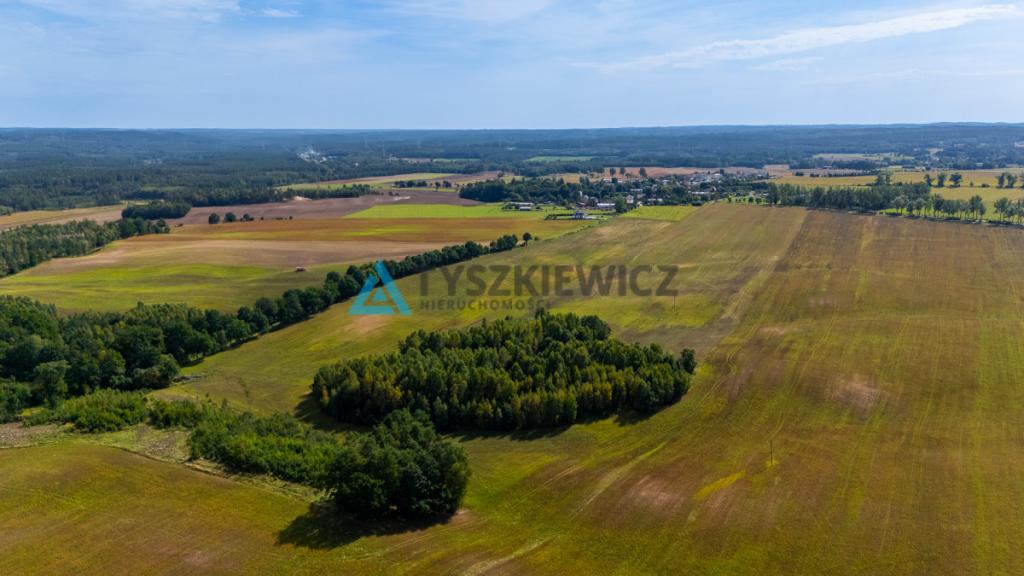 Atrakcyjna działka rolna przy drodze wojewódzkiej. - zdjęcie 11