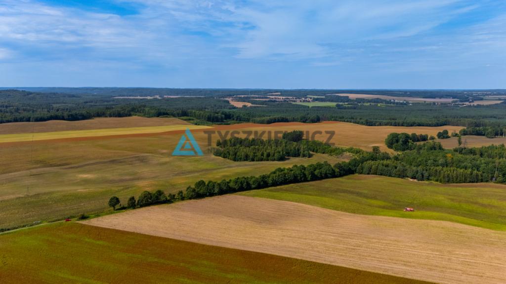 Atrakcyjna działka rolna przy drodze wojewódzkiej. - zdjęcie 5
