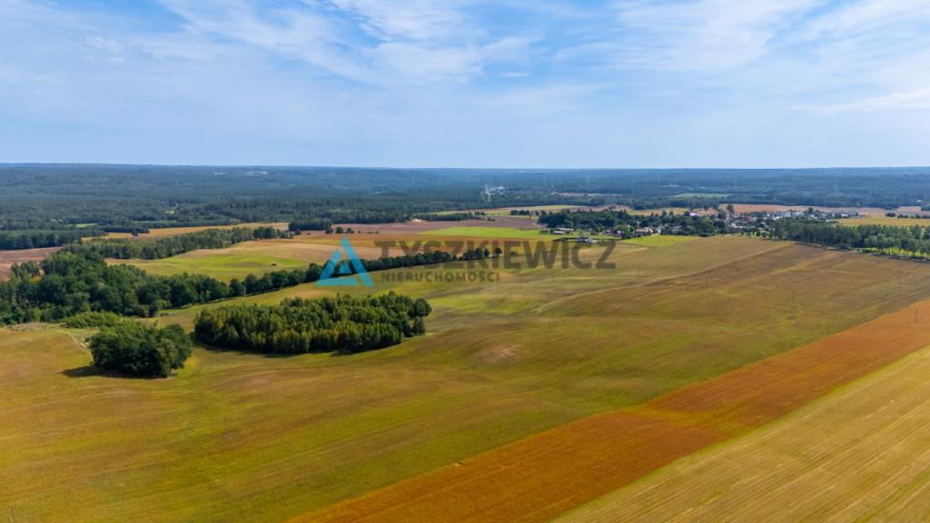 Atrakcyjna działka rolna przy drodze wojewódzkiej. - zdjęcie 13