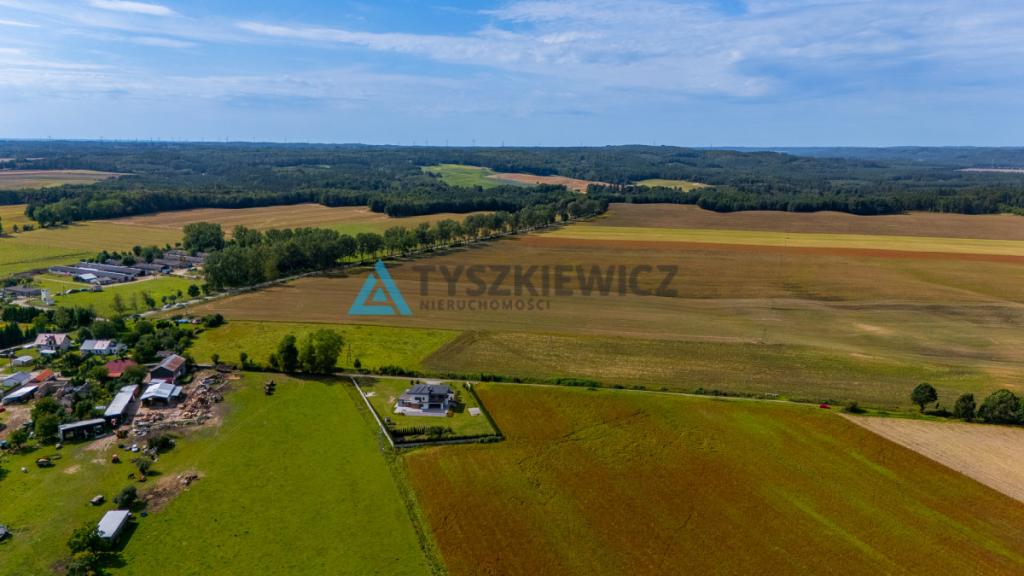 Atrakcyjna działka rolna przy drodze wojewódzkiej. - zdjęcie 6