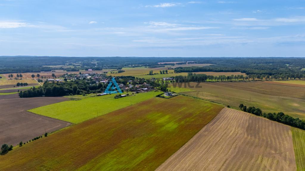 Atrakcyjna działka rolna przy drodze wojewódzkiej. - zdjęcie 8