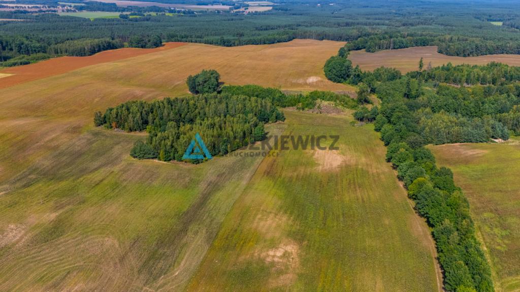 Atrakcyjna działka rolna przy drodze wojewódzkiej. - zdjęcie 3