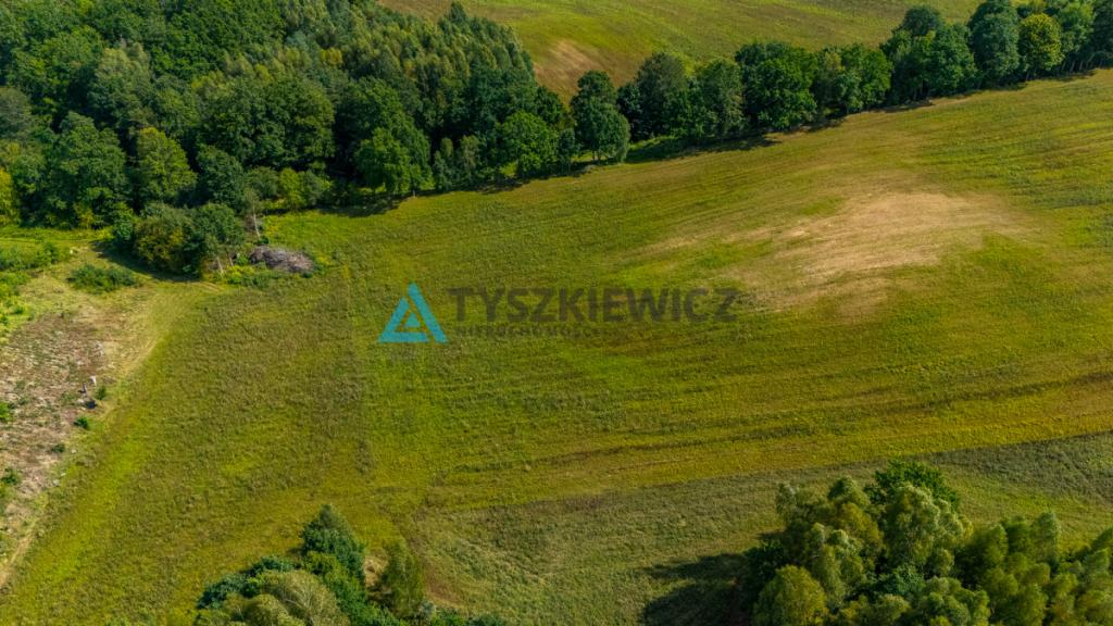 Atrakcyjna działka rolna przy drodze wojewódzkiej. - zdjęcie 18