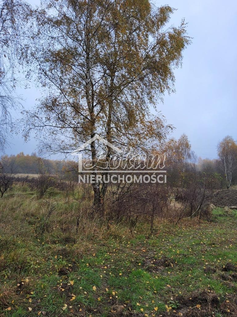 Działka budowlana 1148&nbsp;m², Szczecin - zdjęcie 2