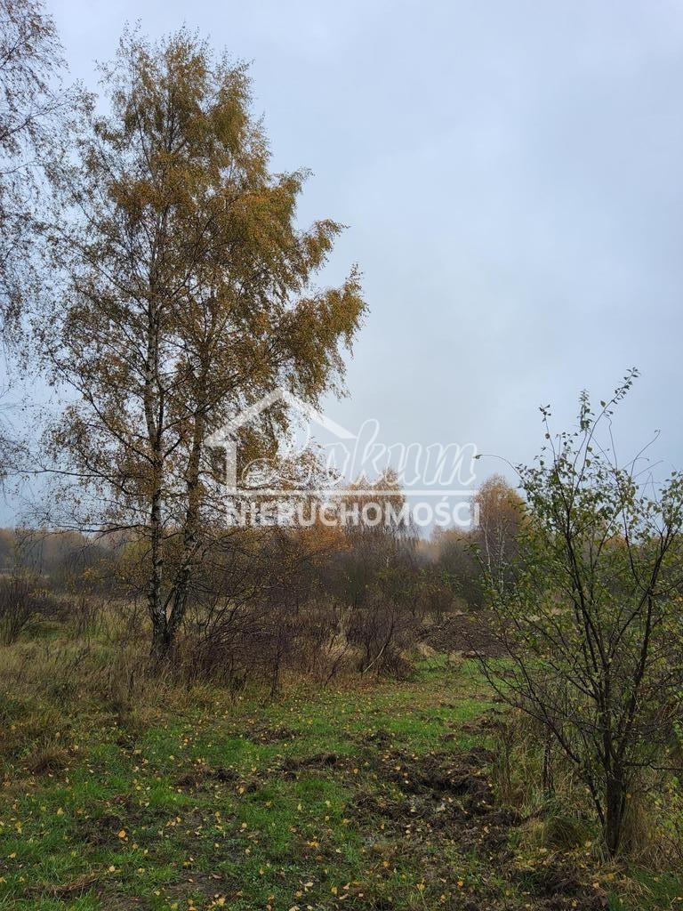 Działka budowlana 1148 m², Szczecin - zdjęcie 4