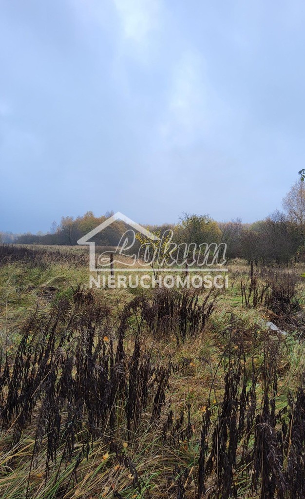 Działka budowlana 1148 m², Szczecin - zdjęcie 6