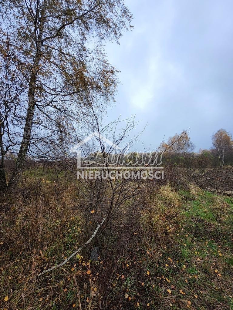 Działka budowlana 1148&nbsp;m², Szczecin - zdjęcie 1