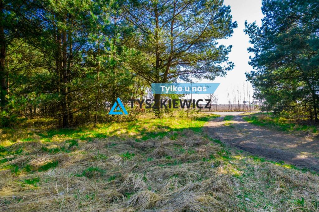 Działka inwestycyjno-budowlana Witkowo - zdjęcie 1