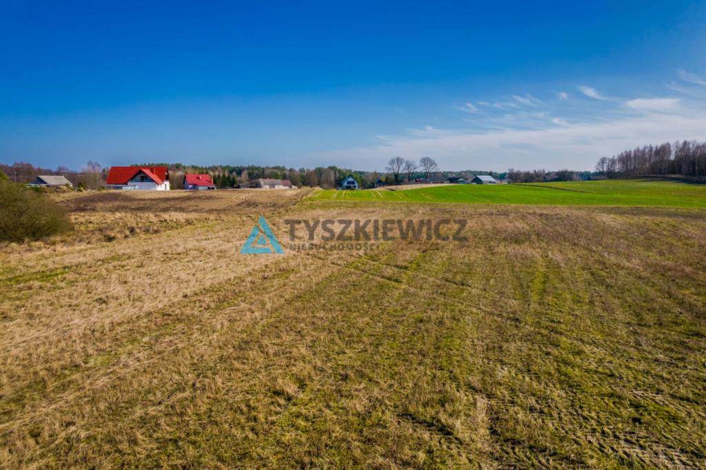 Działka z potencjałem w otulinie lasu, jezior! - zdjęcie 18