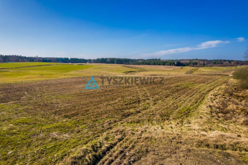 Działka w otulinie lasu, jezior na Twój dom! - zdjęcie 18
