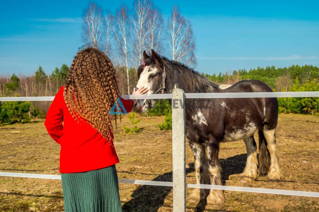 Działka w otulinie lasu, jezior na Twój dom! - zdjęcie 28