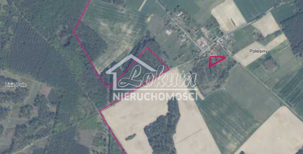Działka rolna 2980 m², Polesiny - zdjęcie 2