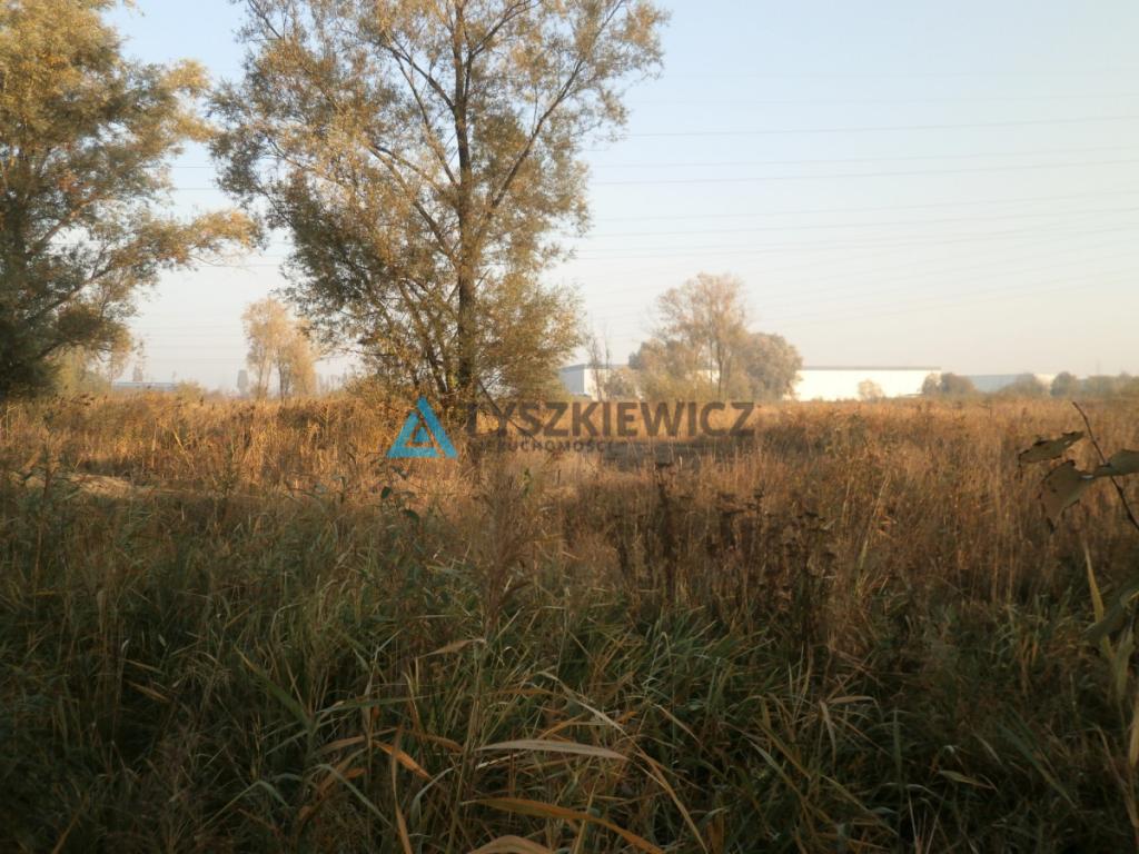 Duża działka rolna na Rudnikach - zdjęcie 2