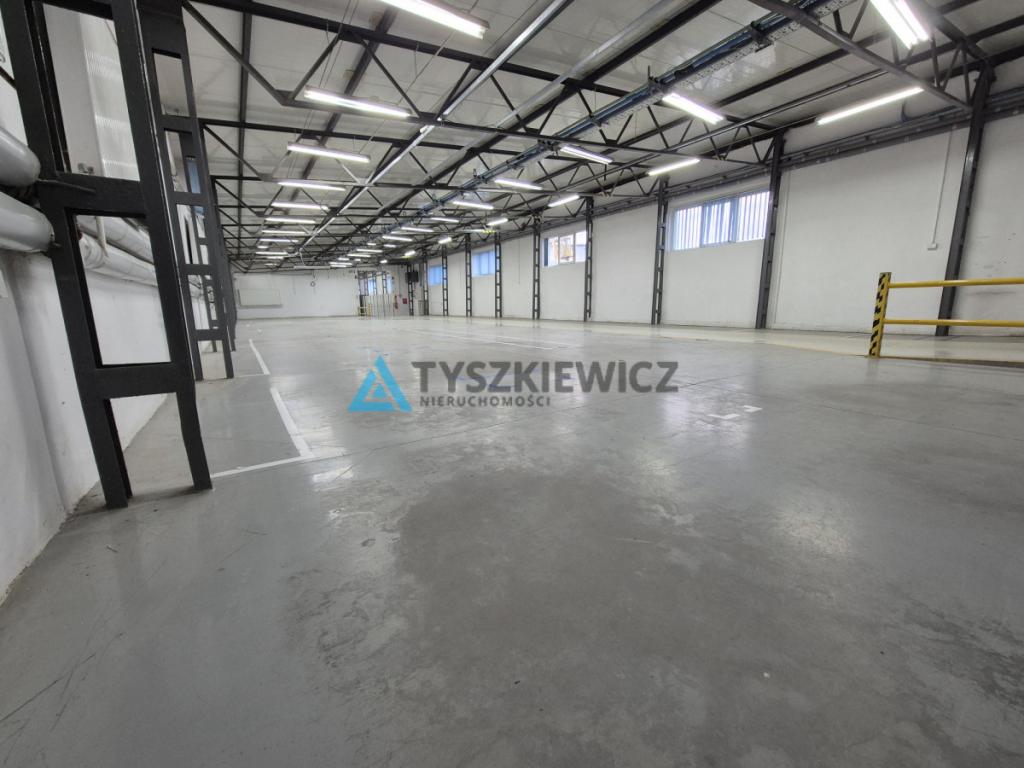 Hala magazynowo- produkcyjno- usługowa na wynajem - zdjęcie 3