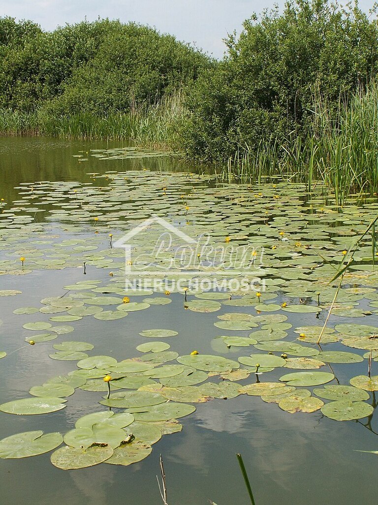 Działka budowlana 988&nbsp;m², Giżyn - zdjęcie 3