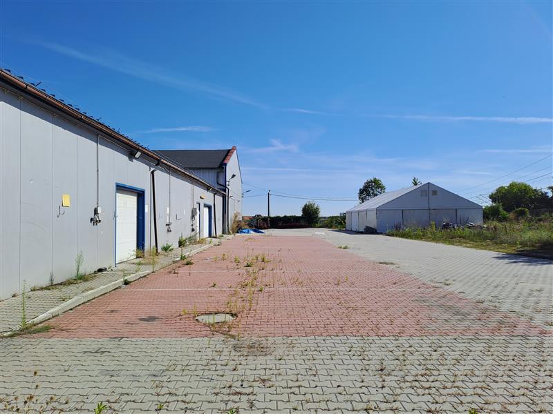 Magazyn na sprzedaż, 1572&nbsp;m², Smolec, Lipowa - zdjęcie 15
