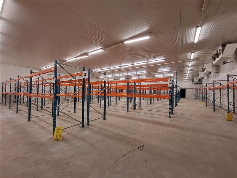 Magazyn na sprzedaż, 1572&nbsp;m², Smolec, Lipowa - zdjęcie 1